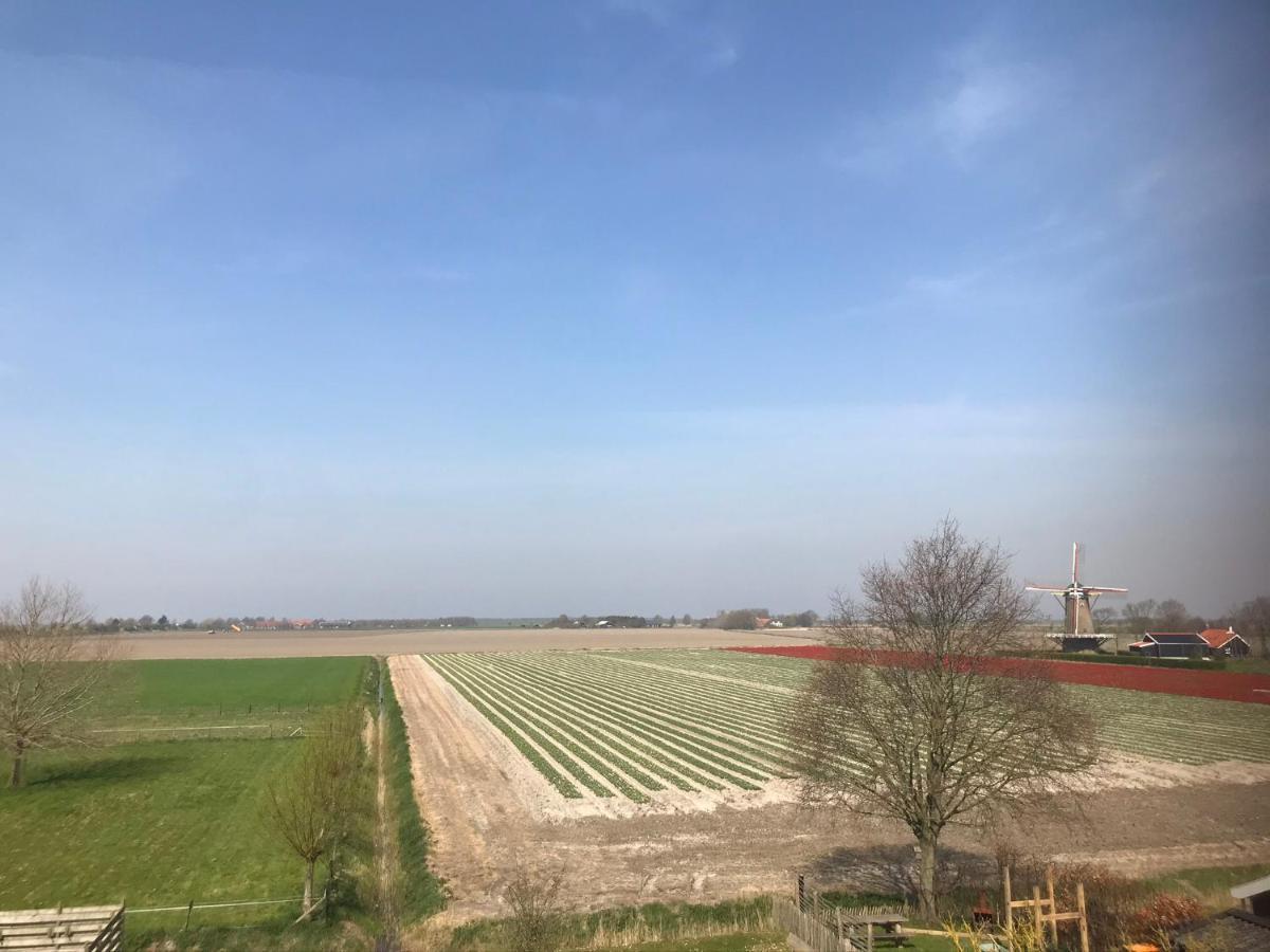 In De Gele Hoed Mooie Appartementen Met Fantastisch Uitzicht Zonnemaire Bagian luar foto