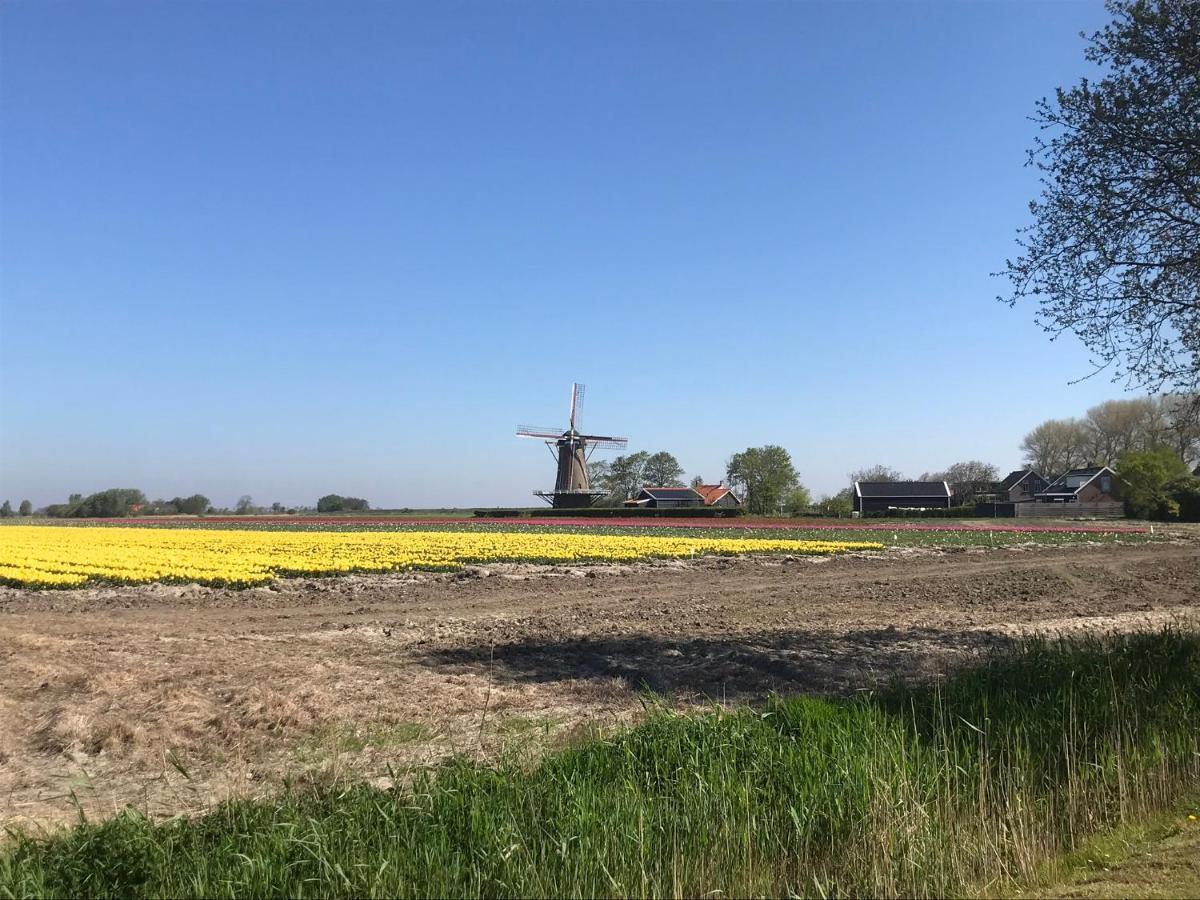 In De Gele Hoed Mooie Appartementen Met Fantastisch Uitzicht Zonnemaire Bagian luar foto