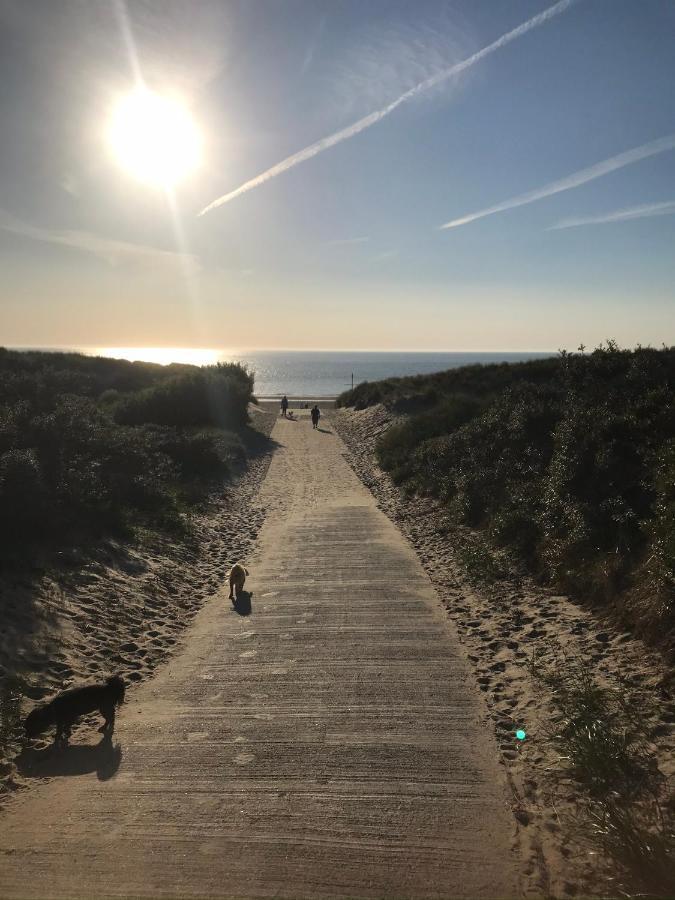 In De Gele Hoed Mooie Appartementen Met Fantastisch Uitzicht Zonnemaire Bagian luar foto