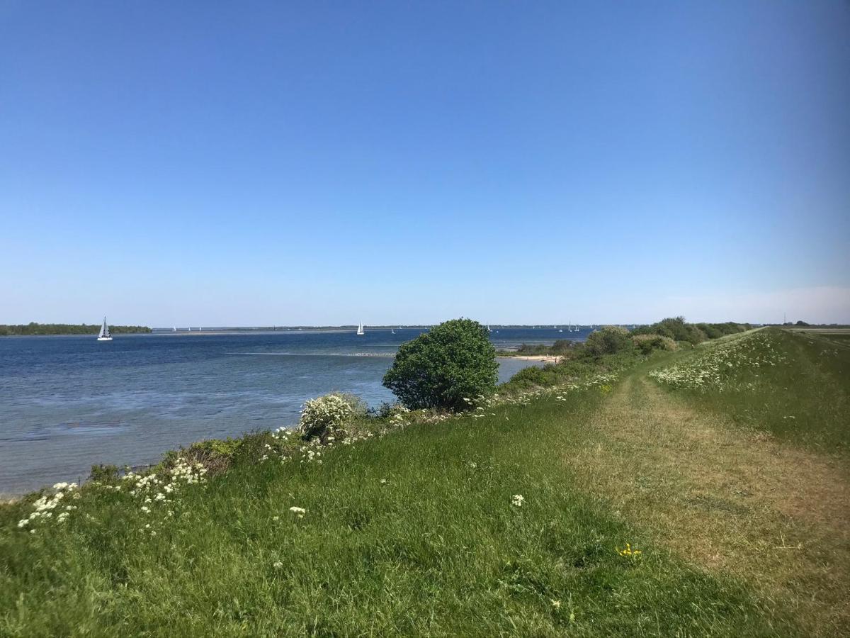 In De Gele Hoed Mooie Appartementen Met Fantastisch Uitzicht Zonnemaire Bagian luar foto